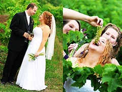 Toronto Wedding Photography - Wedding at winery